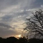 छत्तीसगढ़ में मानसून से पहले ही मौसम विभाग ने किया अलर्ट, मौसम की चाल ठीक नहीं…